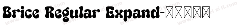 Brice Regular Expand字体转换